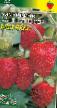 Lesní jahody druhy Lyubasha  fotografie a charakteristiky