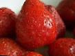 Erdbeeren Sorten Astara Foto und Merkmale