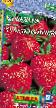 une fraise les espèces Kapelki leta F1 (Klubnika) Photo et les caractéristiques