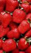 Strawberry  Triploid grade Photo