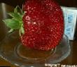 une fraise les espèces Chamora Tarusi Photo et les caractéristiques