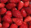 Erdbeeren  Milan klasse Foto