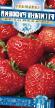Strawberry varieties Gigant russkijj F1 (klubnika) Photo and characteristics