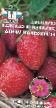 Strawberry varieties Rozovaya mechta F1 Photo and characteristics