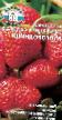 une fraise  Ogorodnica F1 l'espèce Photo