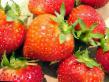 Erdbeeren  Idun klasse Foto