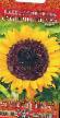 Sonnenblume Sorten Solnechnyjj krug Foto und Merkmale