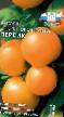 Tomatoes varieties Persik Photo and characteristics