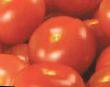 Los tomates  Ehklajjm F1 variedad Foto