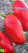 Tomater sorter Damskie Palchiki ampelnye (Selekciya Myazinojj L.A.) Fil och egenskaper