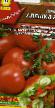Los tomates variedades Aleshka F1 Foto y características