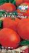 tomaatit lajit Rannijj gruntovojj kuva ja ominaisuudet