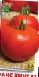 Los tomates variedades Trans King F1 Foto y características