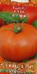 Tomater sorter Petr Pervyjj Fil och egenskaper