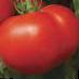 Tomatoes varieties Streza F1 Photo and characteristics