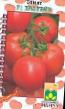 Los tomates  Shustrik F1 variedad Foto