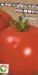 tomaatit lajit Burkovskijj rannijj kuva ja ominaisuudet