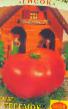 tomaatit lajit Teremok F1 kuva ja ominaisuudet