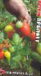tomaatit lajit Arbalet kuva ja ominaisuudet
