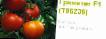 Ντομάτες ποικιλίες Gravitet F1 (Singenta) φωτογραφία και χαρακτηριστικά
