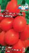 I pomodori le sorte Rycar foto e caratteristiche