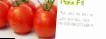 Tomater sorter Rom F1 Fil och egenskaper