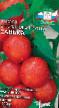 I pomodori le sorte Sanka foto e caratteristiche