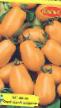 tomaatit lajit Zolotye palchiki kuva ja ominaisuudet