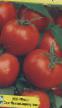 Ντομάτες ποικιλίες Zorka φωτογραφία και χαρακτηριστικά