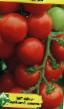 Los tomates variedades Tamina Foto y características