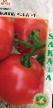 Los tomates variedades Behlla Rosa  F1 Foto y características