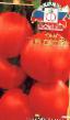 Tomater sorter Sestra F1 Fil och egenskaper