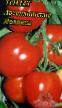 des tomates  Argentinskie Yablochki l'espèce Photo