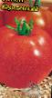 Tomatoes varieties Korolevskijj Photo and characteristics