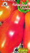 Los tomates  Krasnaya Grusha variedad Foto