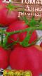 Tomatoes varieties Lyana Rozovaya Photo and characteristics