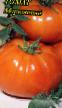 Tomater sorter Morkovnyjj Fil och egenskaper