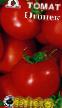 des tomates les espèces Ogonek Photo et les caractéristiques