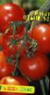 Los tomates variedades Otbor 55 Foto y características