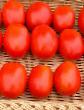 Tomatoes varieties Plateks F1 Photo and characteristics