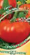 Tomatoes  Akulina grade Photo