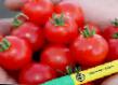 Tomatoes varieties Svitini F1 Photo and characteristics