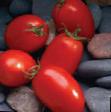 Tomatoes varieties Mariana F1 Photo and characteristics