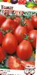 Tomatoes  Grusha krasnaya grade Photo