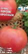 Los tomates  Persik Krasnyjj variedad Foto