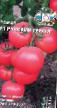 Tomater sorter Russkijj gerojj F1 Fil och egenskaper