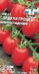 Tomater sorter Sladkaya Grozd Shokoladnaya Fil och egenskaper