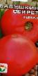 Tomatoes varieties Babushkin sekret Photo and characteristics