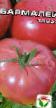 Los tomates variedades Barmalejj Foto y características