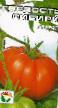 des tomates  Gordost Sibiri l'espèce Photo